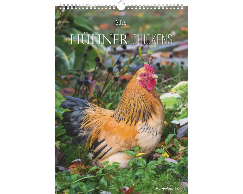 Alpha Edition - Hühner 2026 – Wandkalender A3 (30×42 cm) mit 12 liebevollen Fotografien verschiedener Hühnerrassen, dekorativer Bauernhof-Kalender für