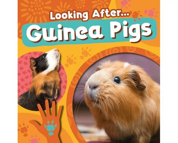 Guinea Pigs