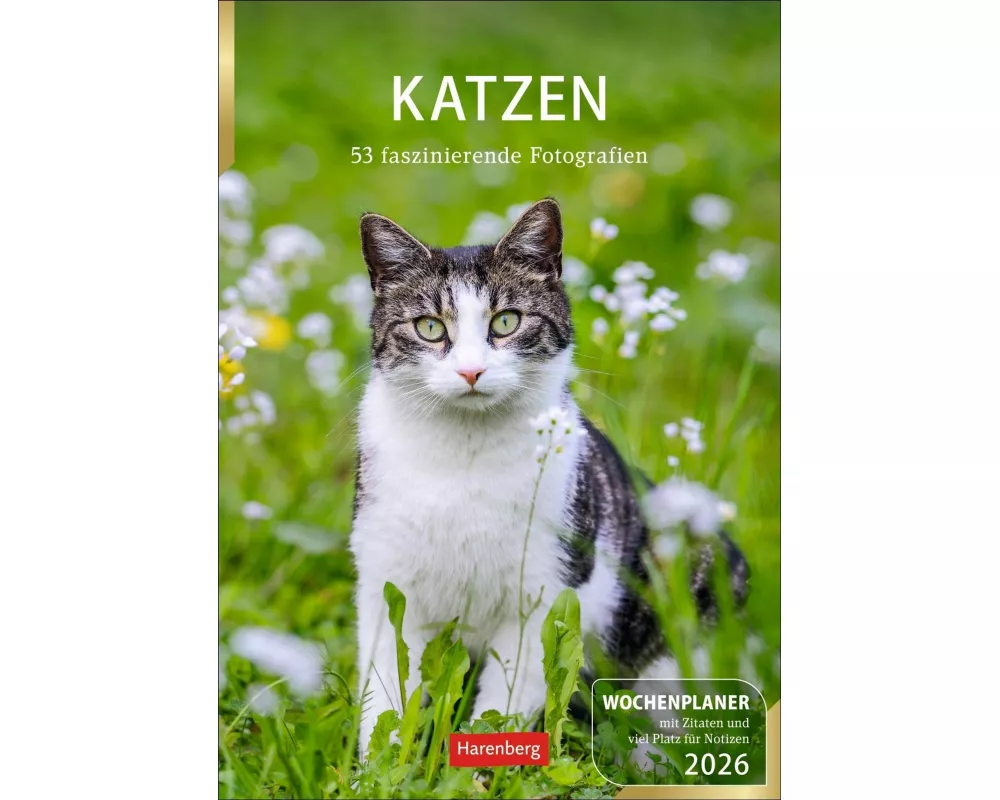 Katzen Wochenplaner 2026 - 53 faszinierende Fotografien