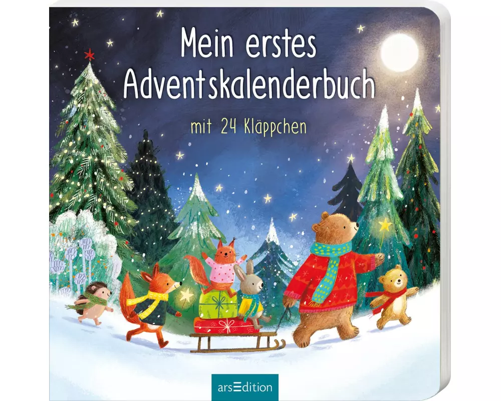 Mein erstes Adventskalenderbuch
