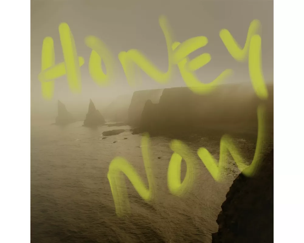 Honey Now