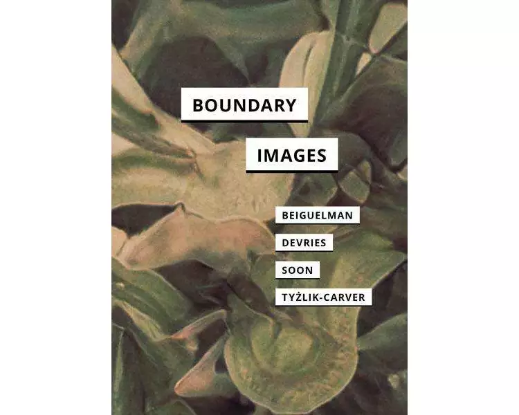 Boundary Images