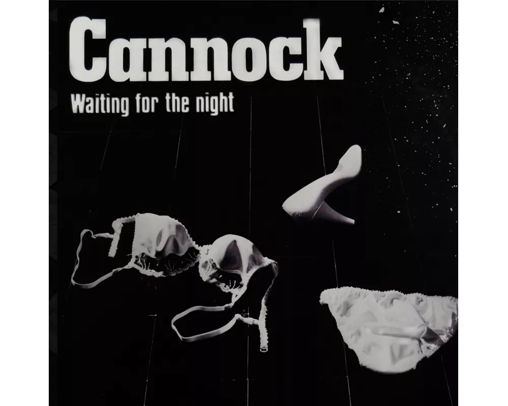 Waiting For The Night