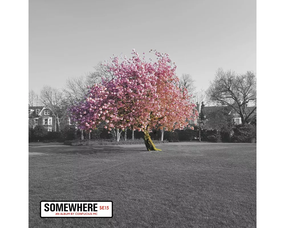 Somewhere