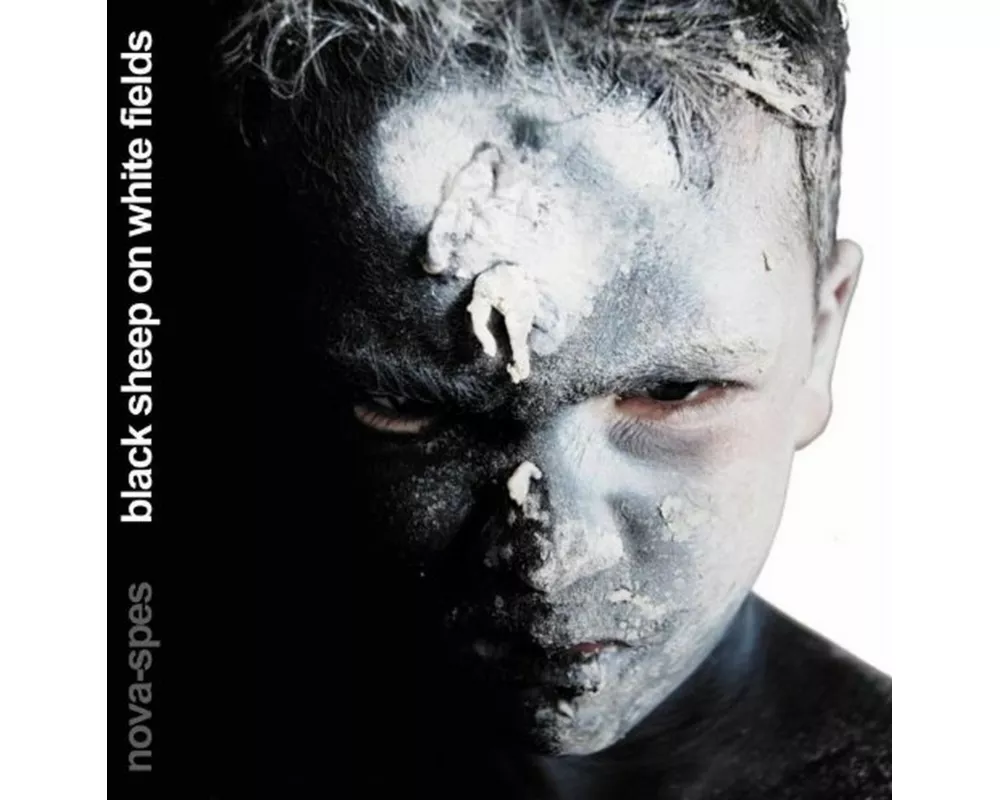 Black Sheep On White Fields