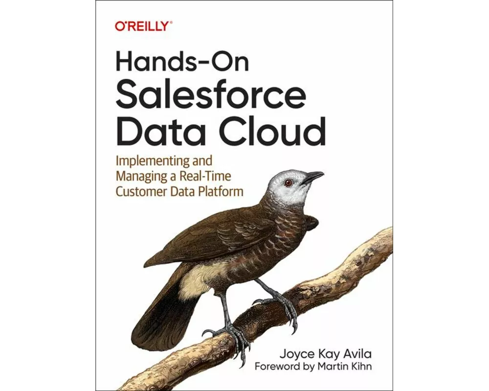 Hands-On Salesforce Data Cloud
