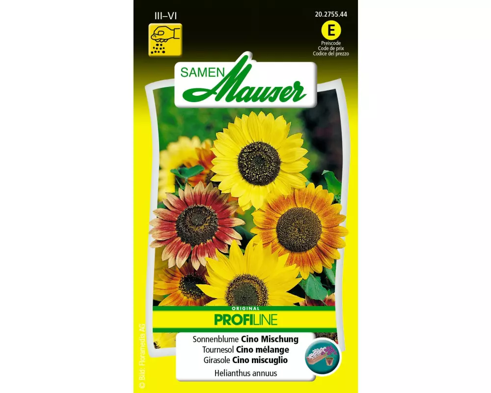 Samen Mauser Saatgut Profiline Sonnenblume Cino Misch.