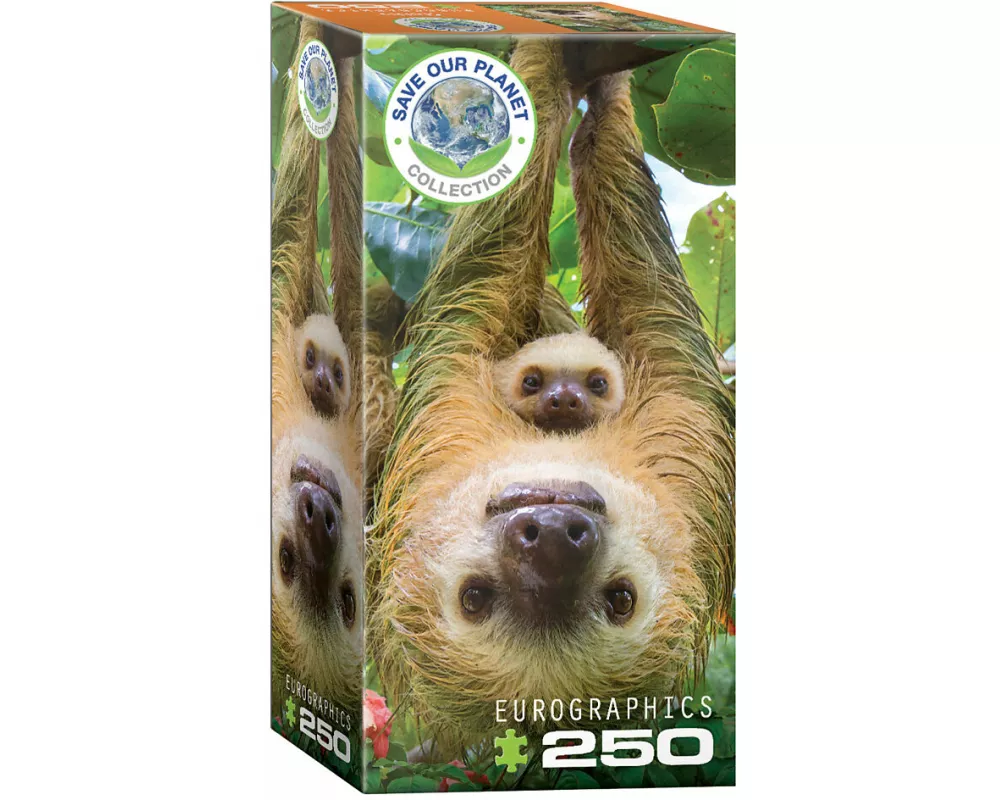 Sloths