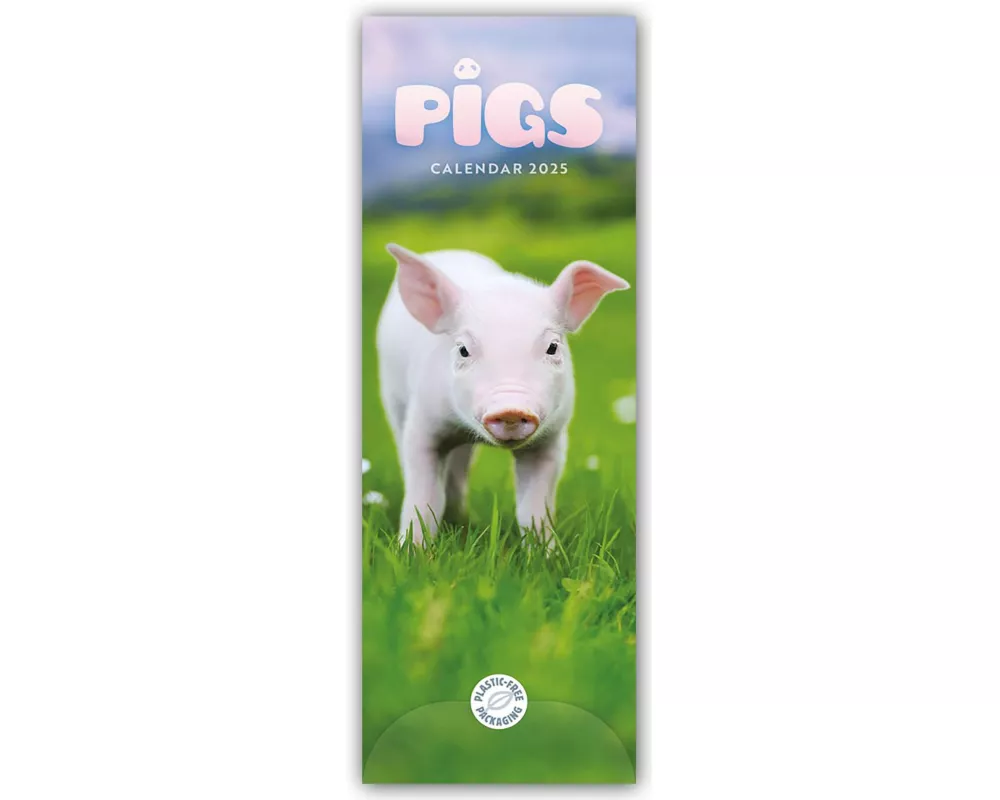 Pigs Slim Calendar 2025
