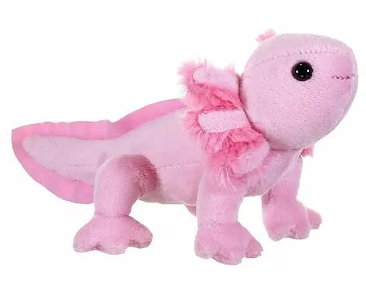 Plüsch Schwanzlurch