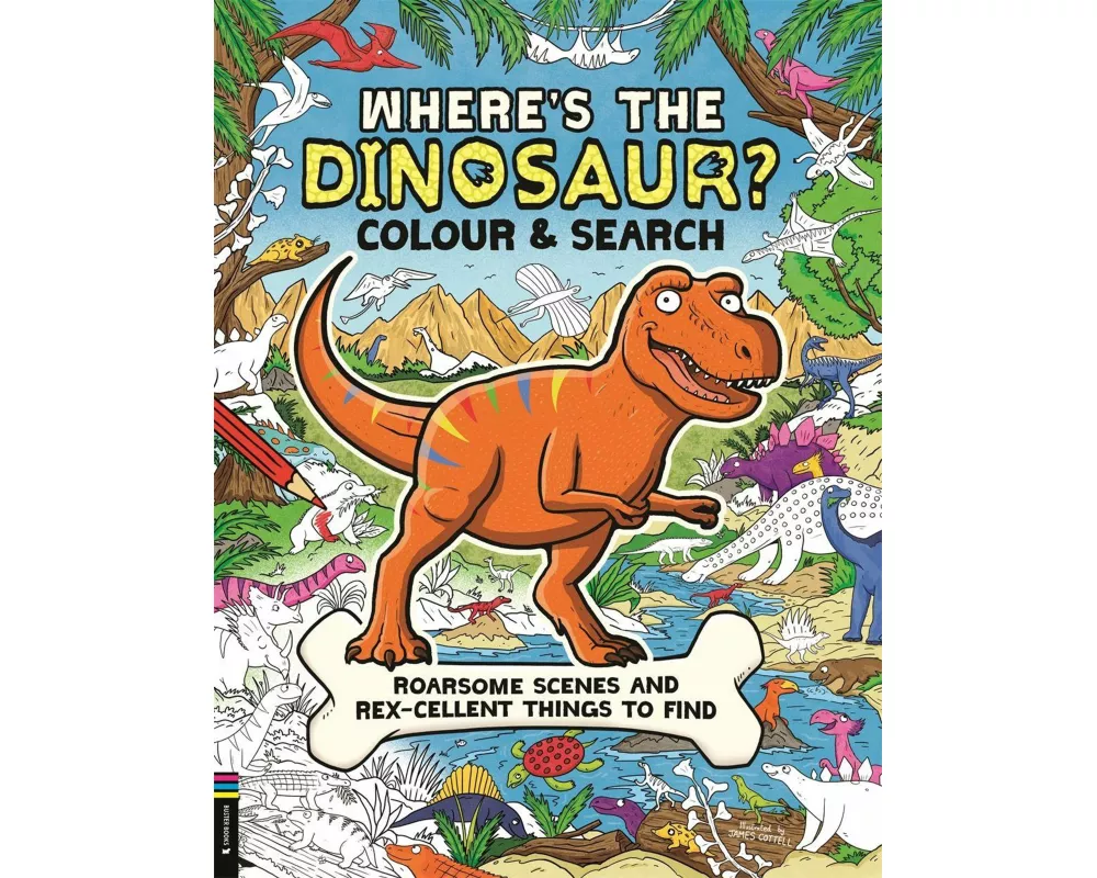 Where’s the Dinosaur? Colour and Search