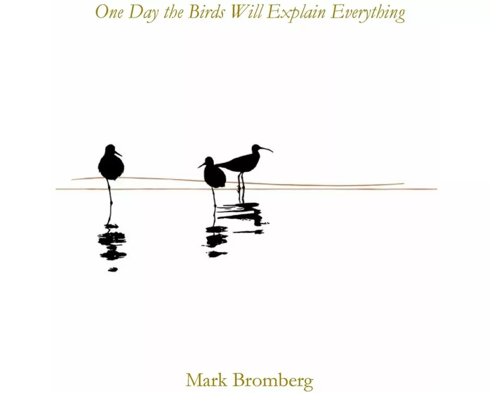 One Day the Birds Will Explain Everything