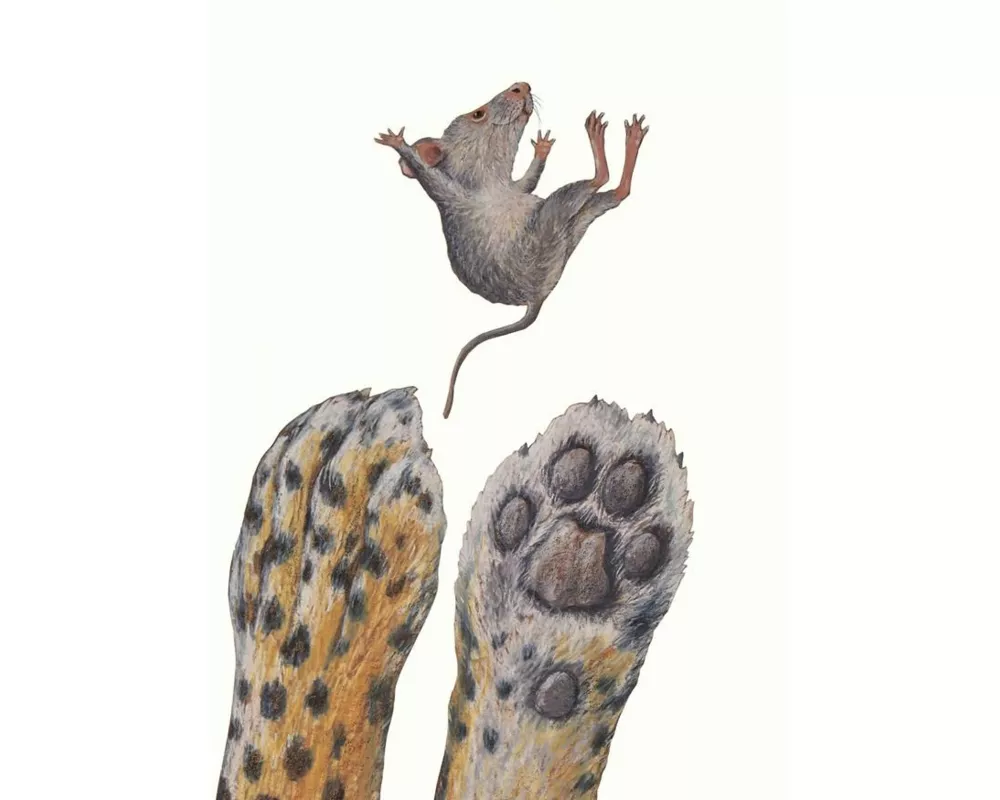 Juhu! Postkarte VE 1=10