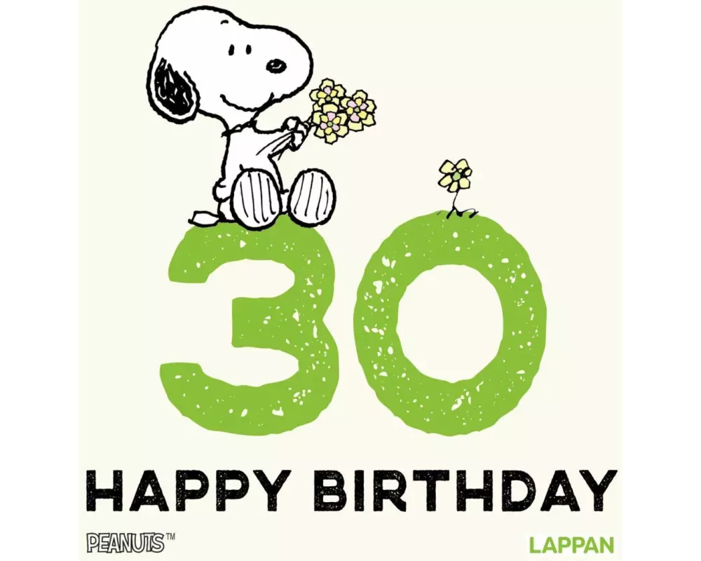 Peanuts Geschenkbuch: Happy Birthday zum 30. Geburtstag