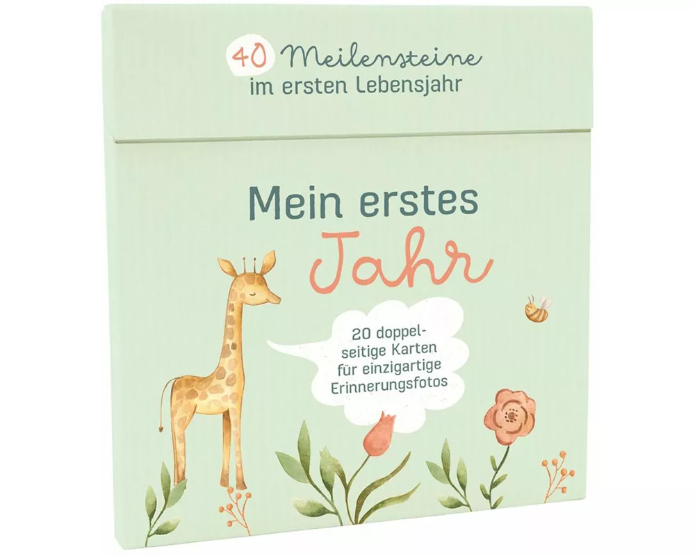 Mein erstes Jahr