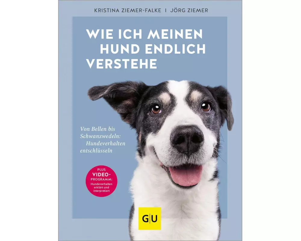 Wie ich meinen Hund endlich verstehe