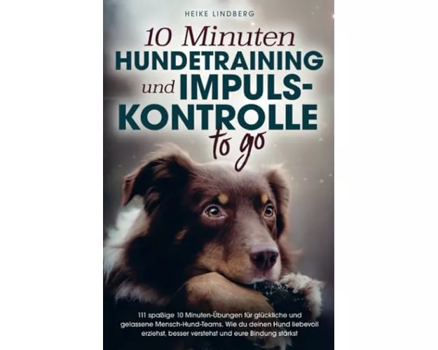 10 Minuten Hundetraining