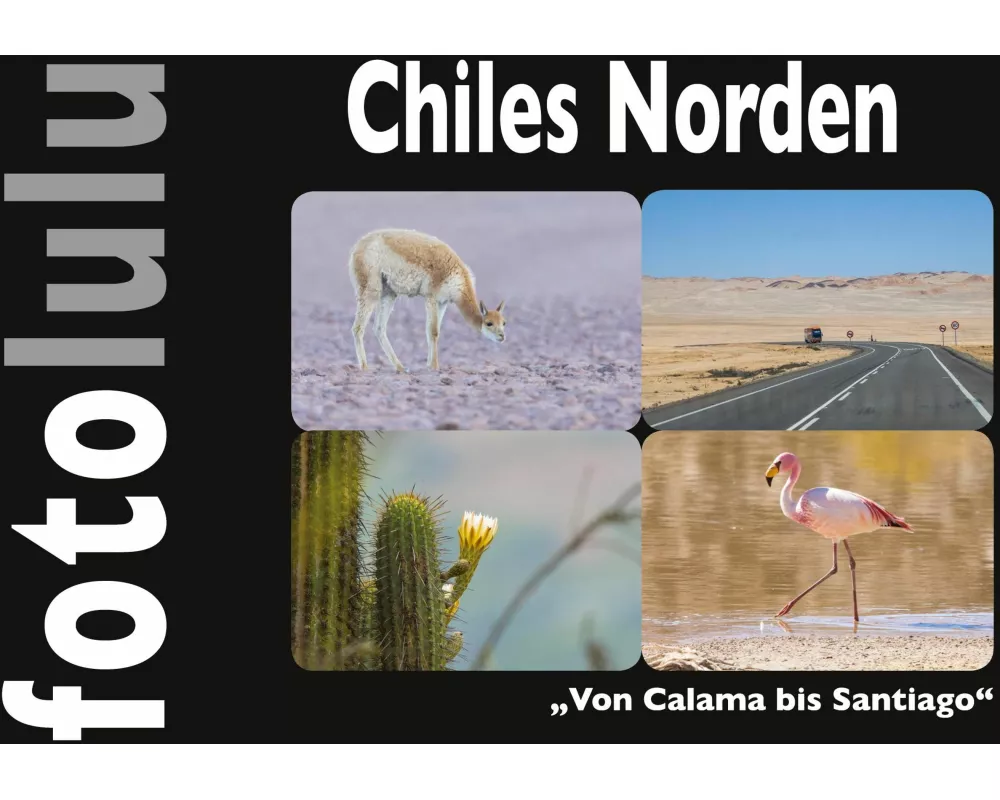 Chiles Norden