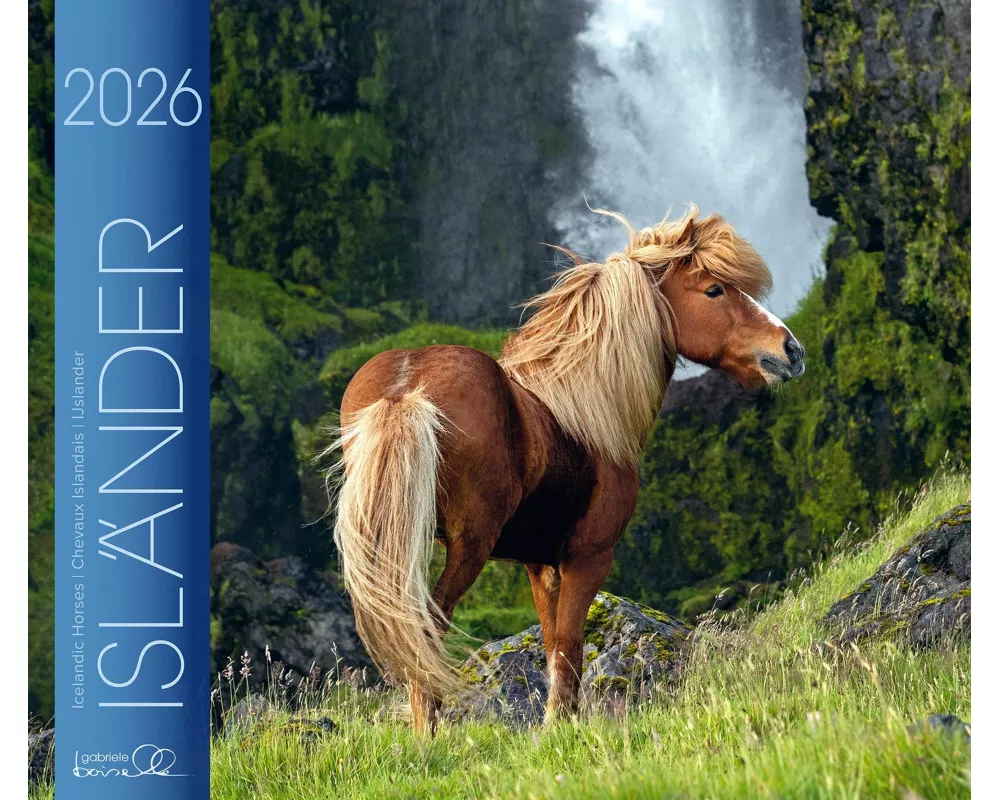 Isländer 2026