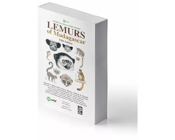 Lemurs of Madagascar