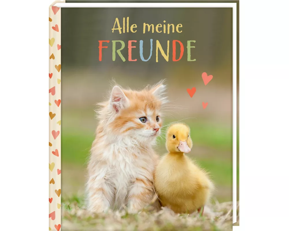 Freundebuch – Alle meine Freunde