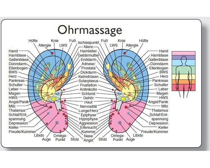 Reflexzonenmassagekarte "Ohr"