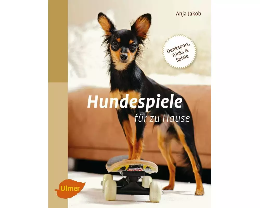 Hundespiele für zu Hause