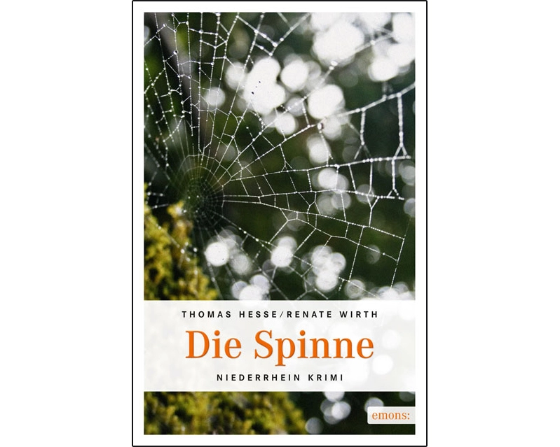 Die Spinne
