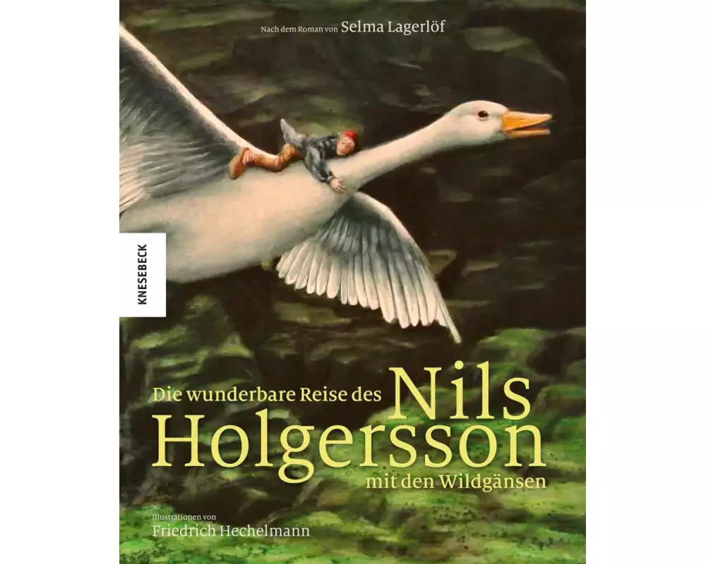 Die wunderbare Reise des Nils Holgersson mit den Wildgänsen