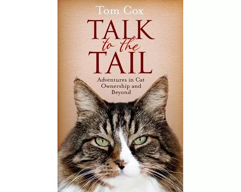 Talk to the Tail