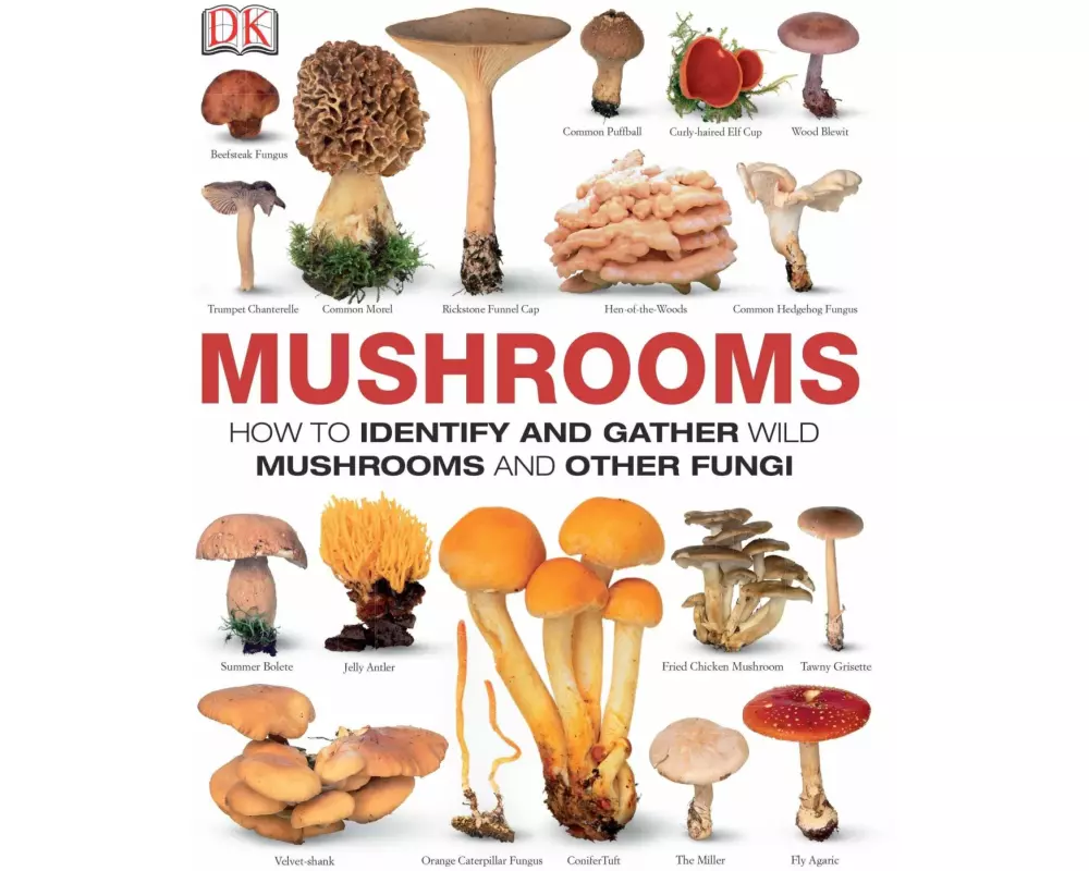 Mushrooms