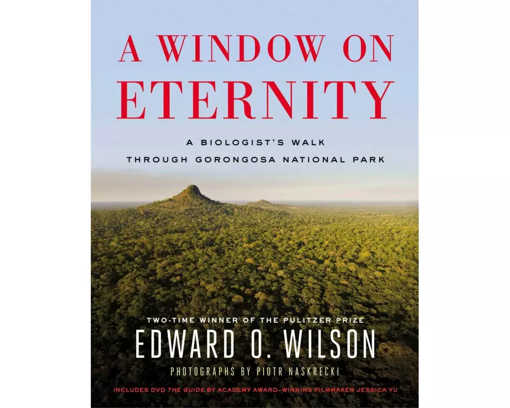 A Window on Eternity