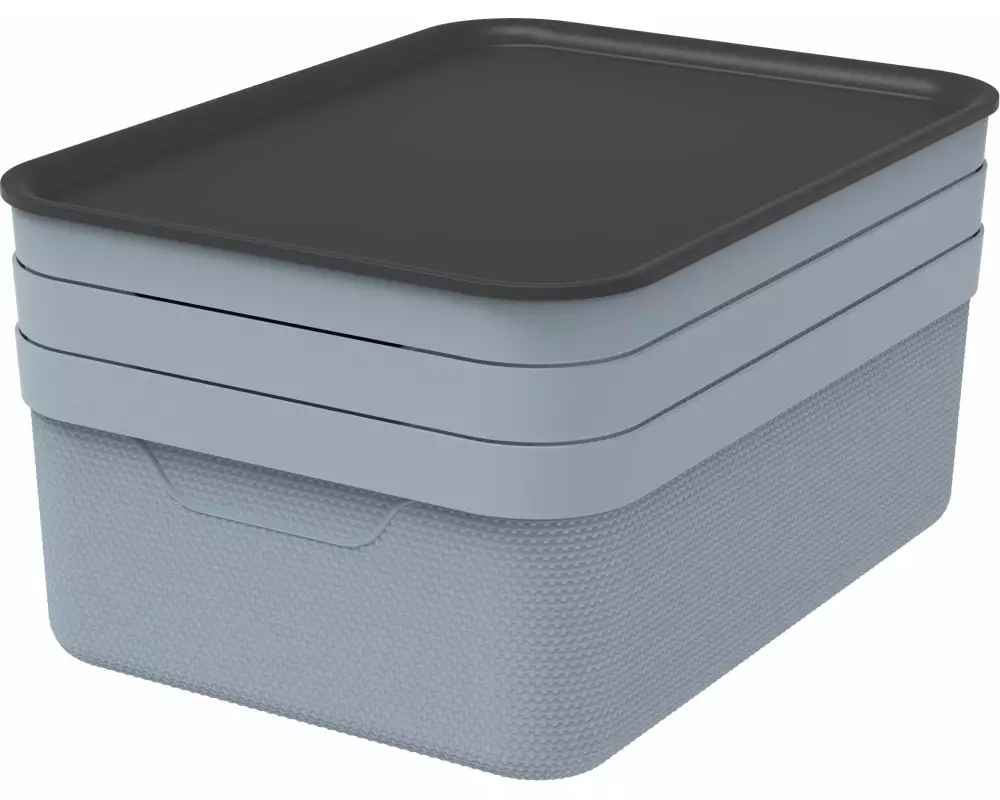 Rotho Aufbewahrungsbox JIVE Taubenblau