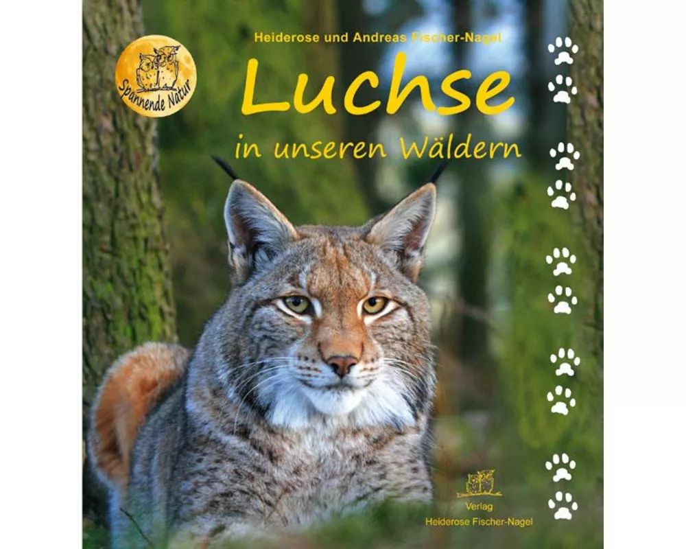 Luchse in unseren Wäldern
