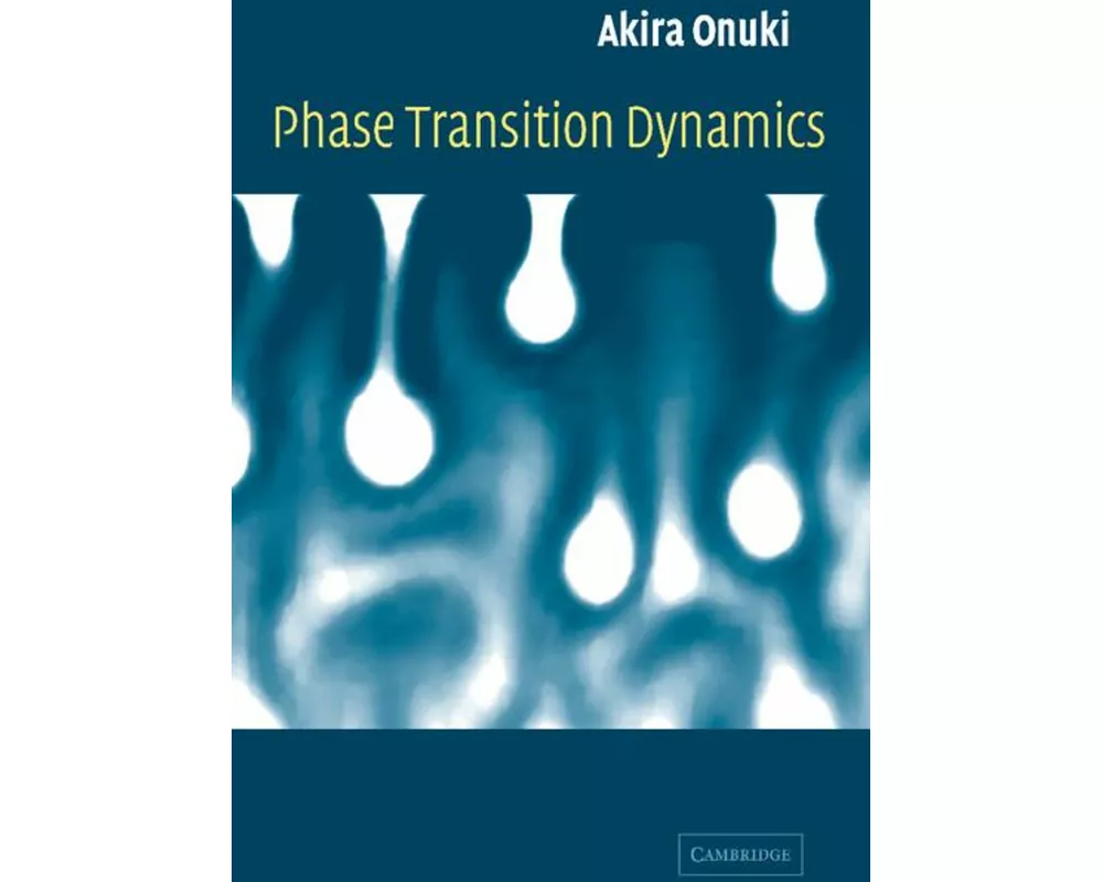 Phase Transition Dynamics