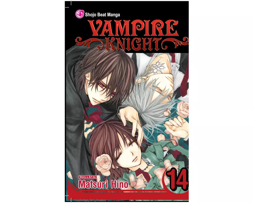 Vampire Knight, Vol. 14