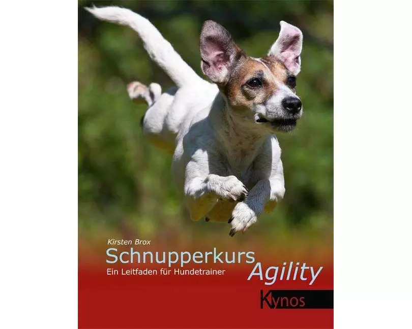 Schnupperkurs Agility