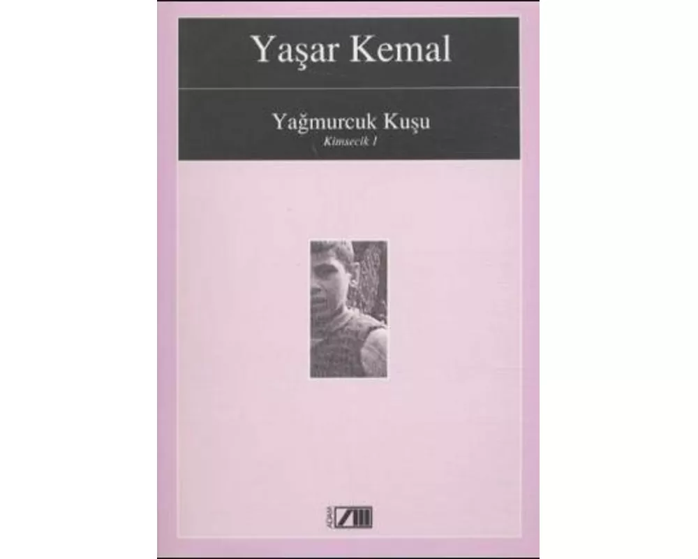 Yagmurcuk Kusu