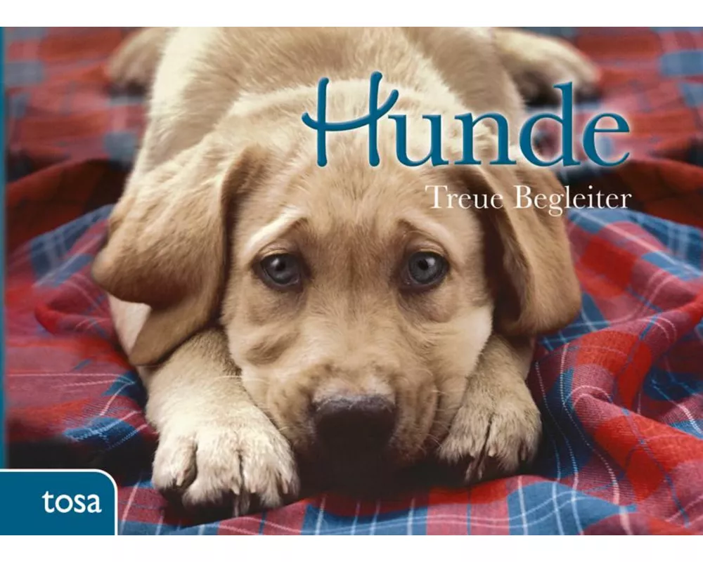 Hunde