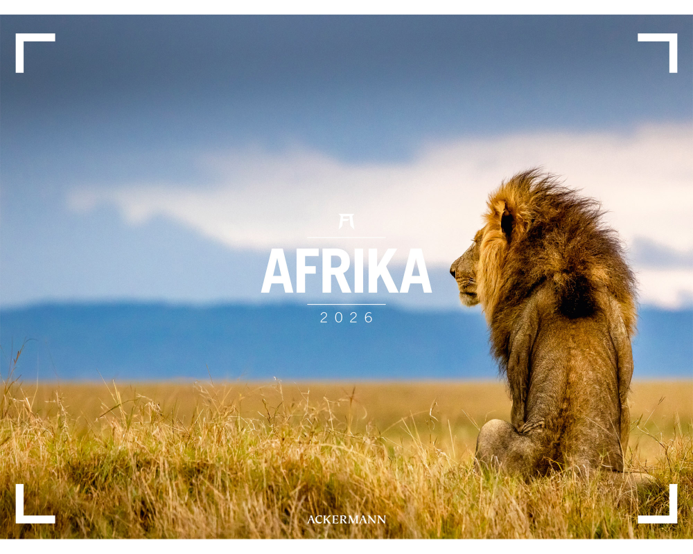 ACKERMANN Bildkalender 2026 3613 Afrika DE/E 66x50cm