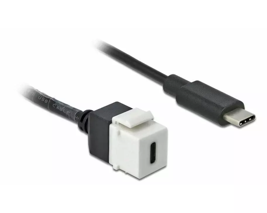 Delock Keystone-Modul USB3.0 USB-C – USB-C, 25cm Weiss