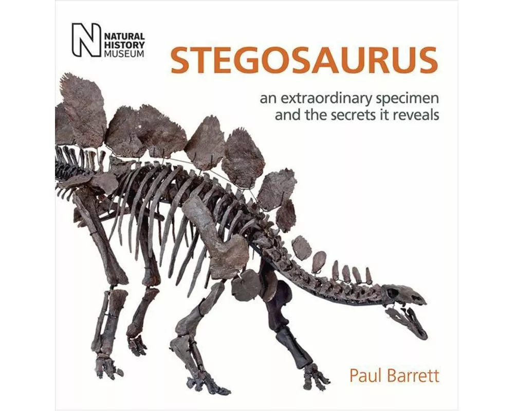 Stegosaurus