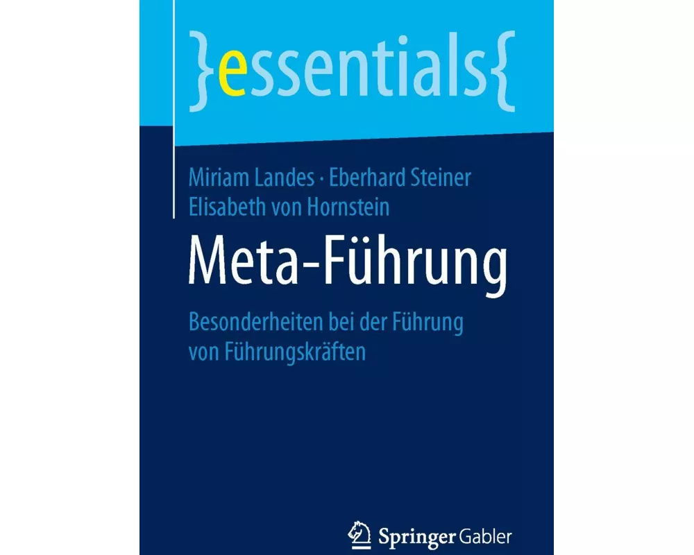 Meta-Führung