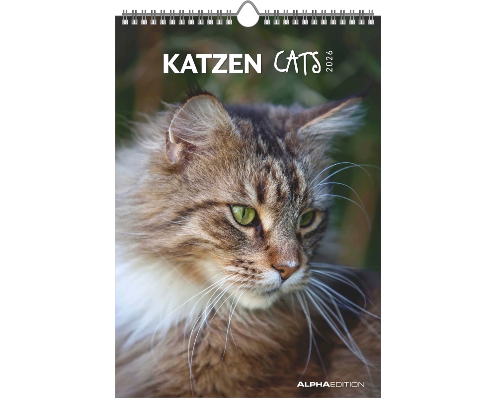 ALPHA EDITION Bildkalender 2026 160493 Katzen ML 23.7x34cm