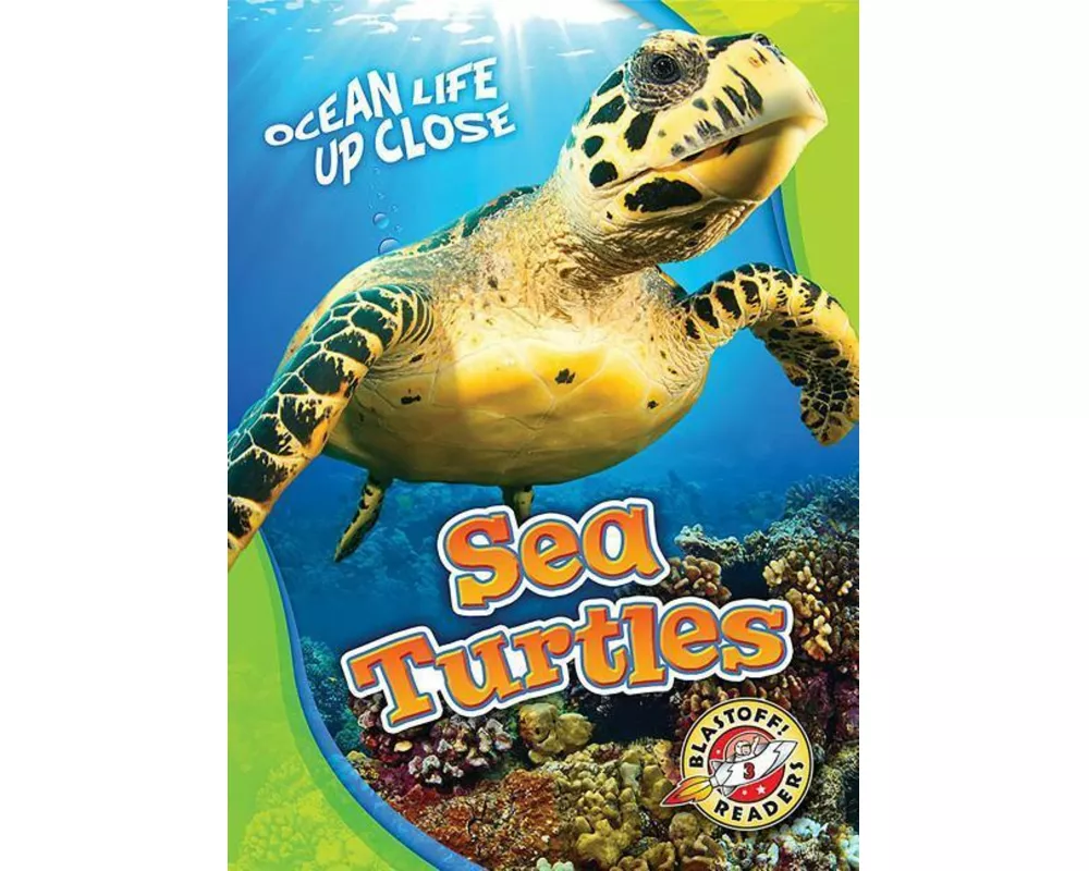 Sea Turtles