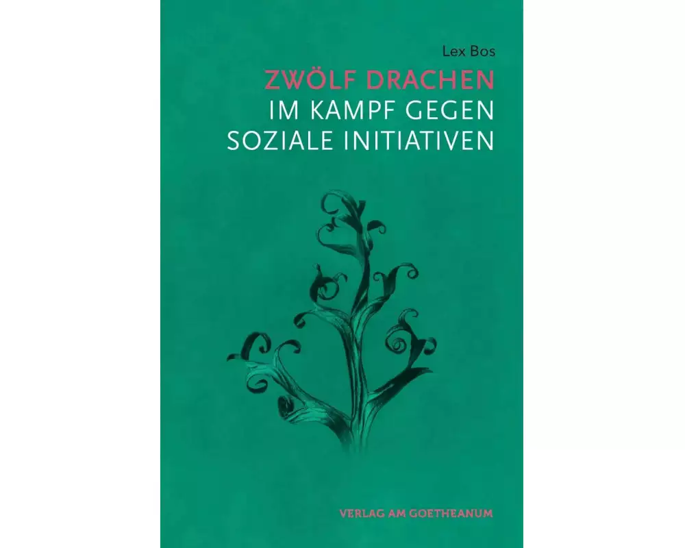 Zwölf Drachen im Kampf gegen soziale Initiativen