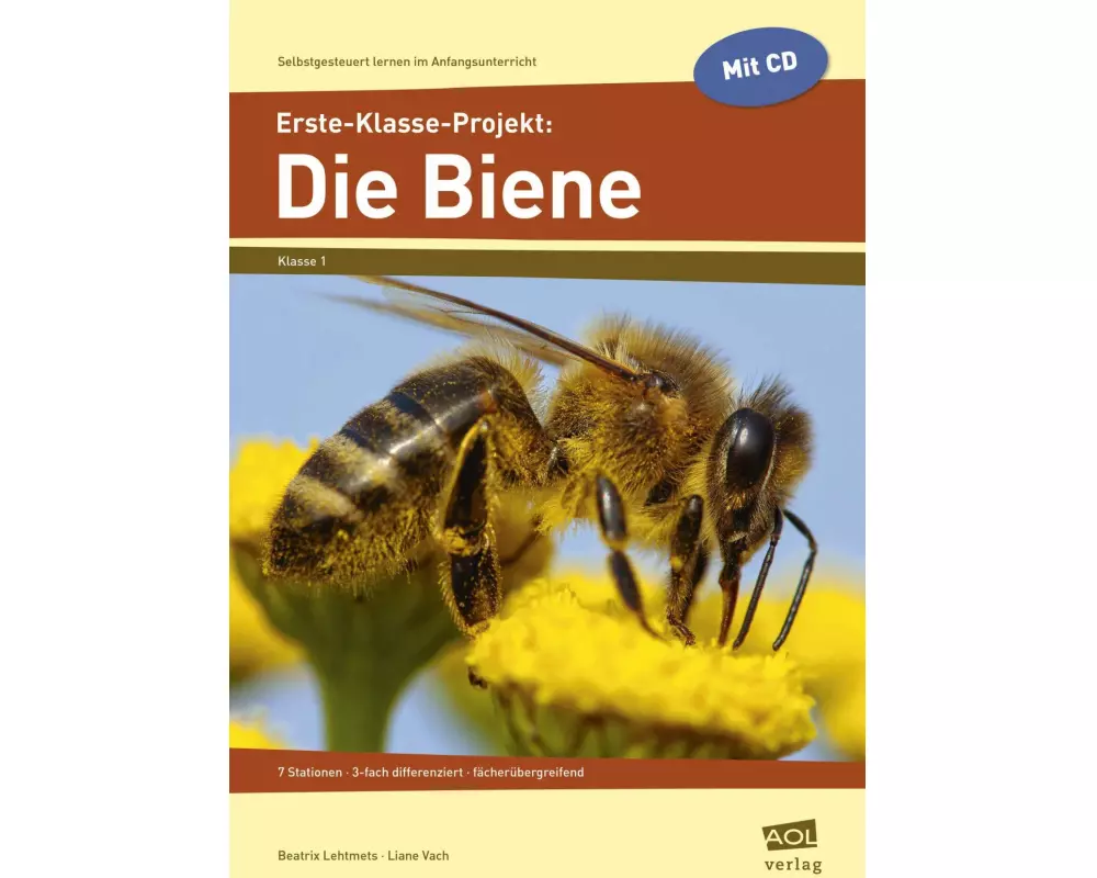Erste-Klasse-Projekt: Die Biene