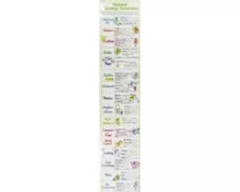 Natural Cleaning Solutions Chart