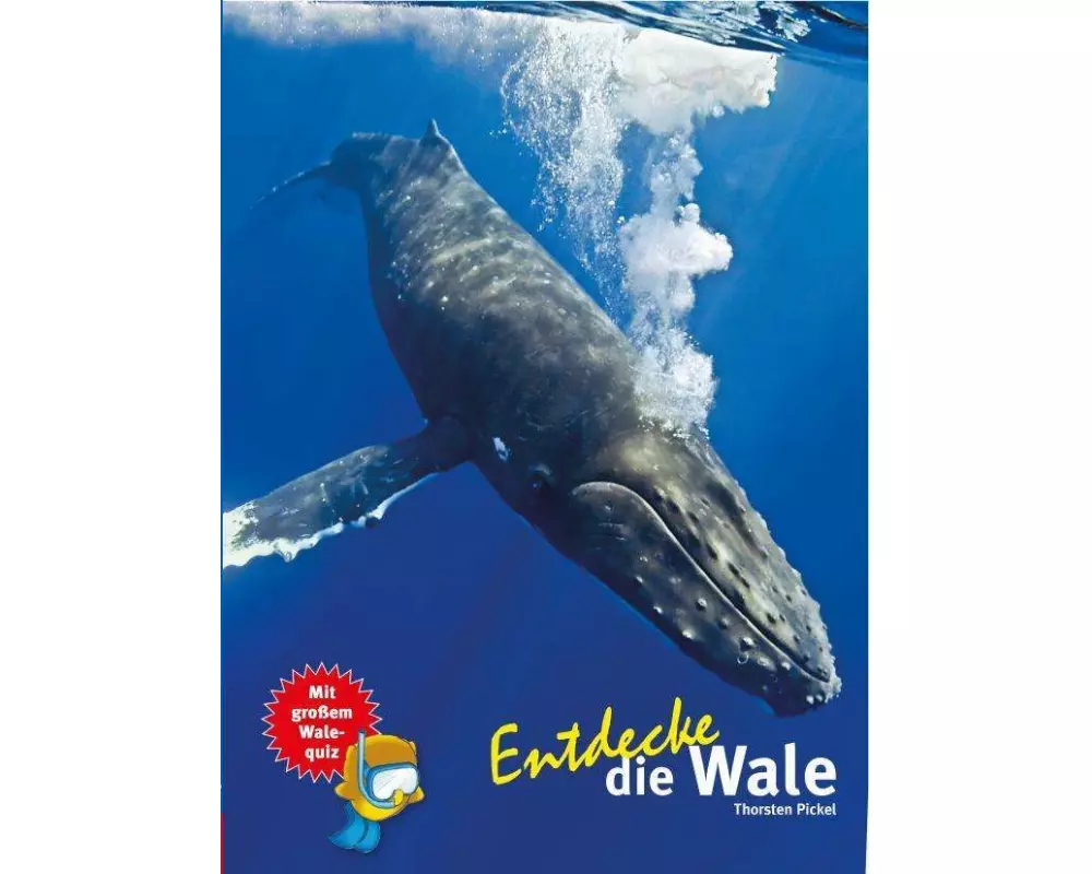 Entdecke die Wale