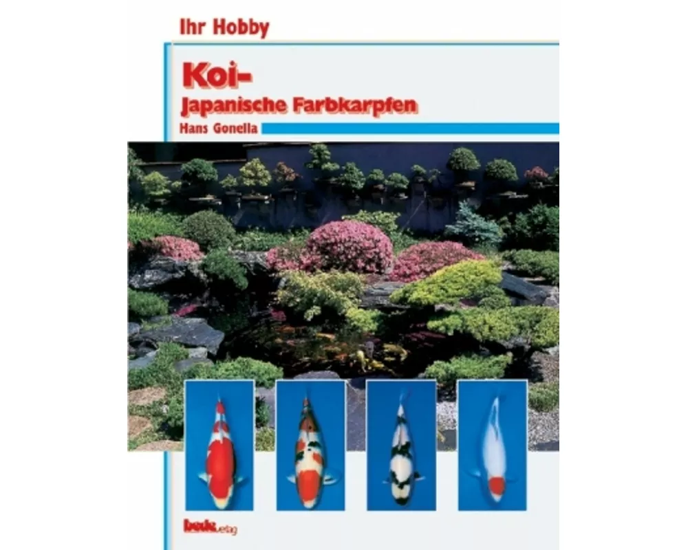 Koi - Japanische Farbkarpfen
